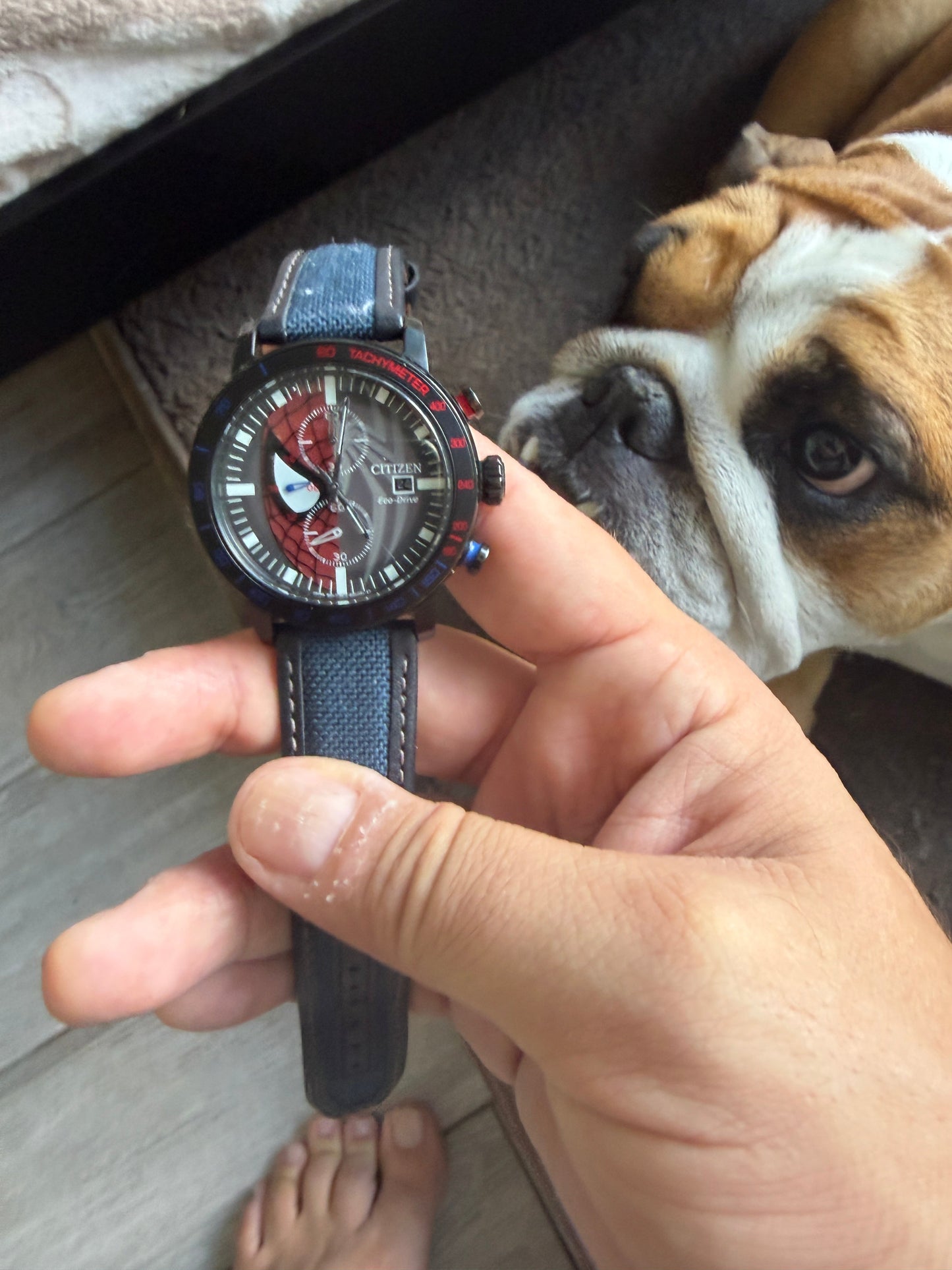 ARACNAPHORIA #1 – Original Cover Art | MJ Hot Dog × Citizens LTD Spider-Man Watch